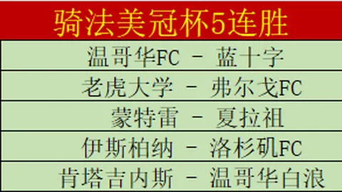 亚洲羽毛球混团锦标赛：中国新军力斩银牌